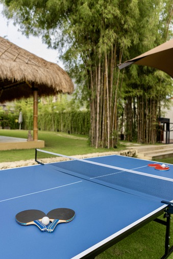 Table tennis